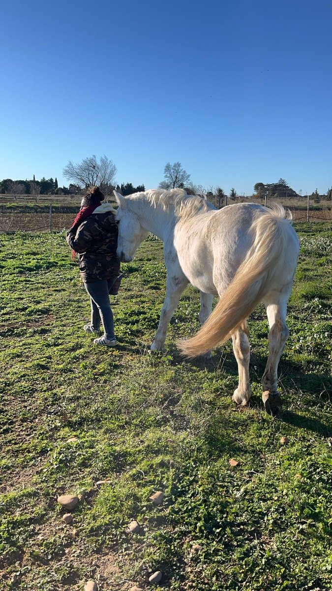 Mid 🤍 tweet media