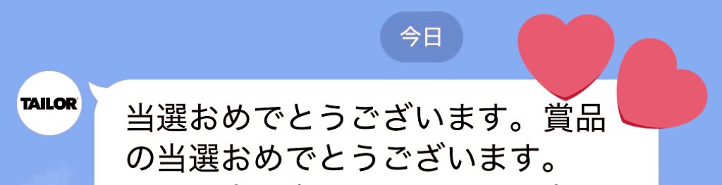 TAILORランドリーバッグ