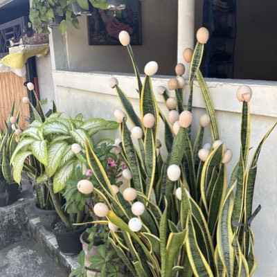 lapoteyta's tweet photo. #NewProfilePic https://t.co/UtJXSBOsVM