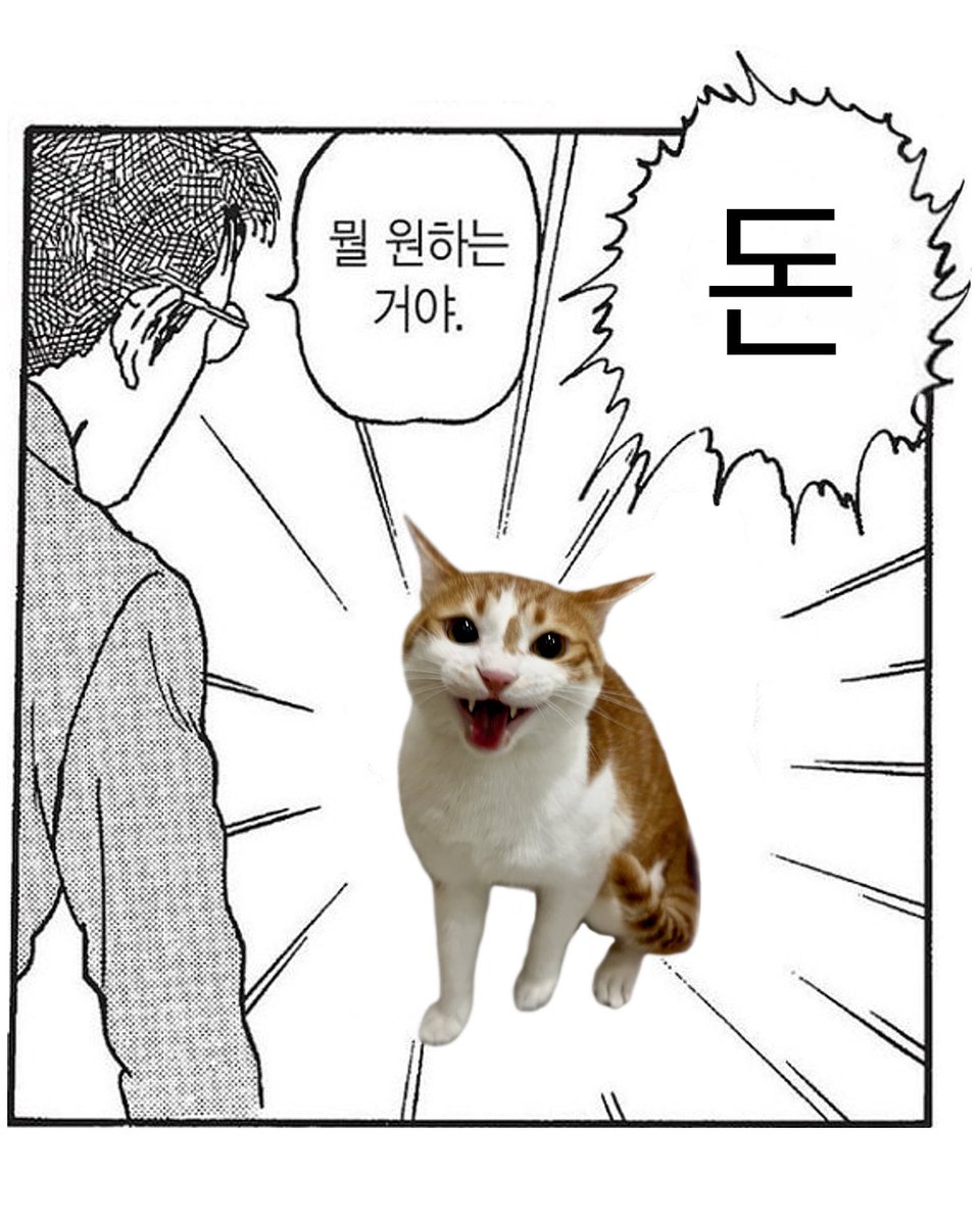 아 나 진자 돈많은 백수 체질인데;