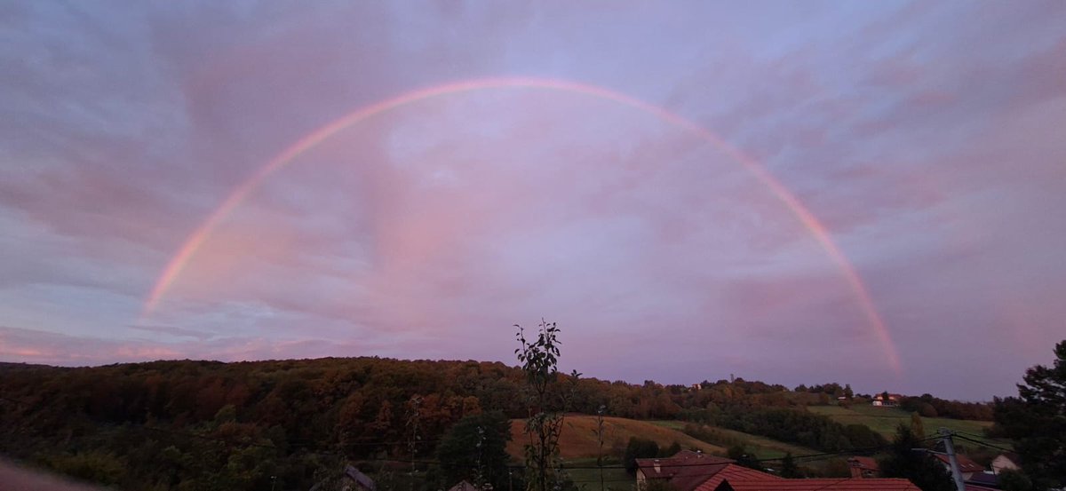 Jutarnje zanimljivosti sa terase!