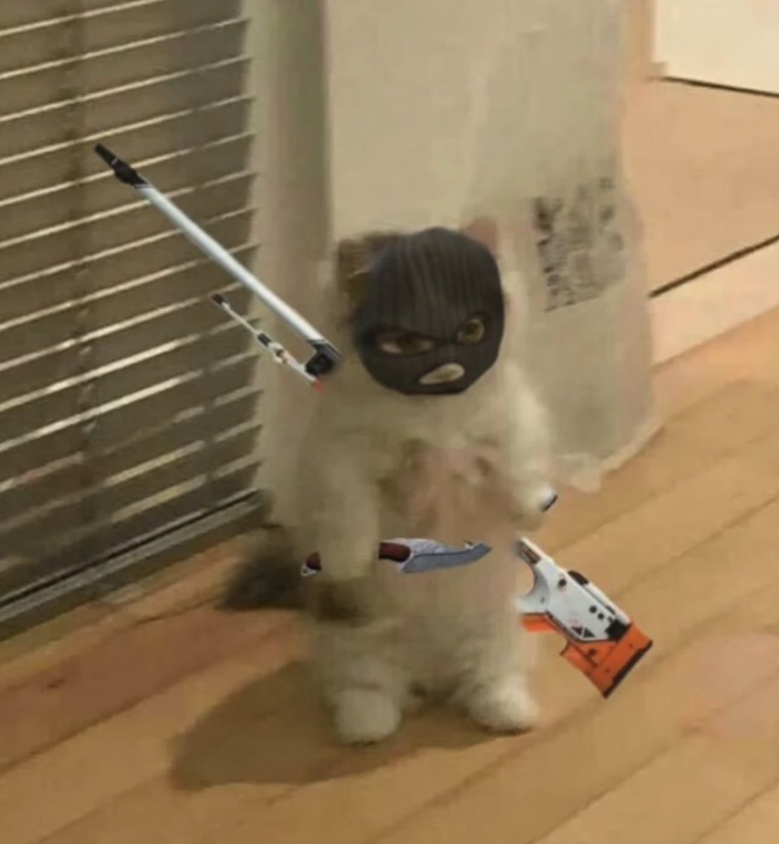 t. (@bewaretherat) on Twitter photo 