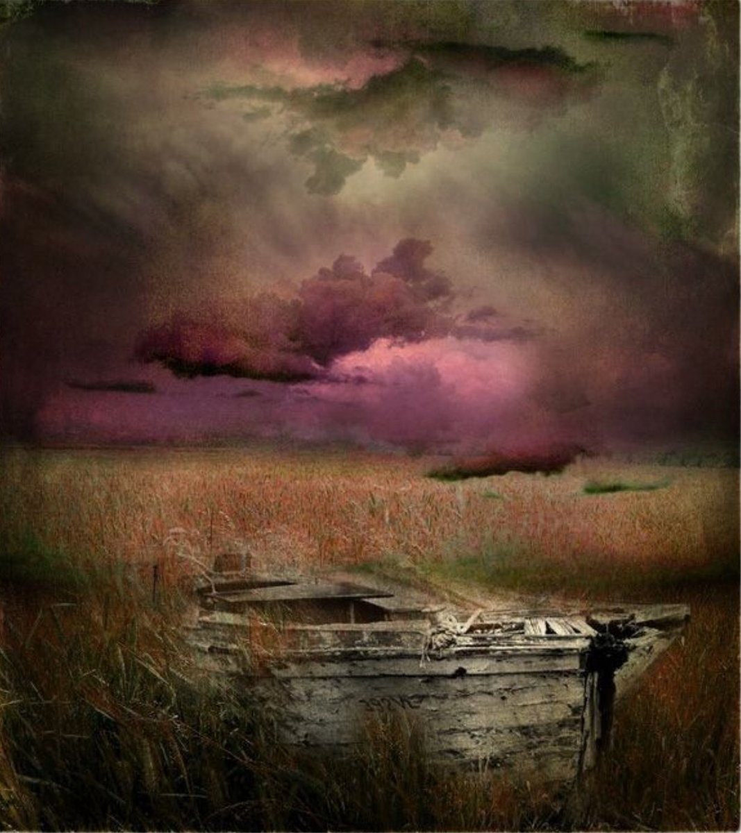 “Blessed are they whose iniquities are forgiven, and whose sins are covered. Blessed is the man to whom the LORD shall not impute sin.”
~Romans 4:7-8🕊