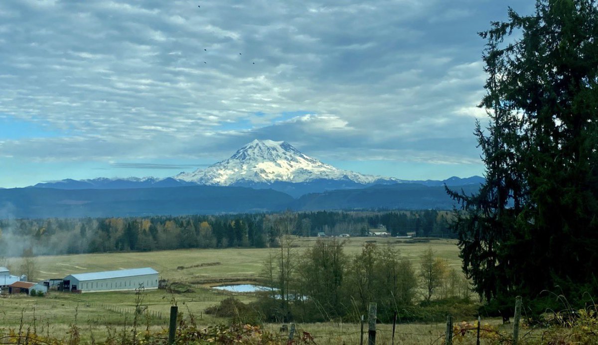 caitlinbronson's tweet image. The dairy across the street in my rural hometown