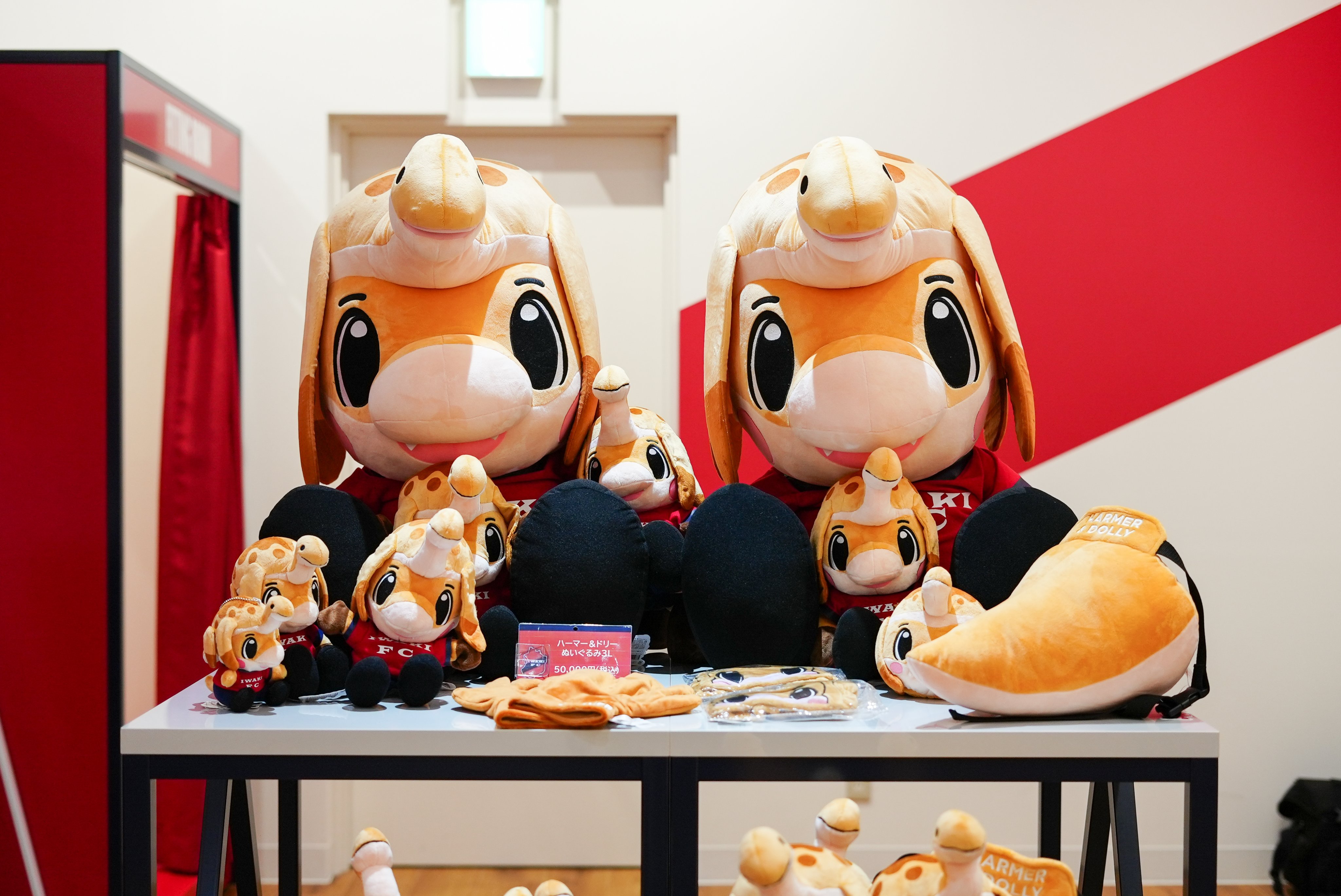 いわきfc　ダウンジャケット フード付ダウンショートコート(ダウンジャケット・コート