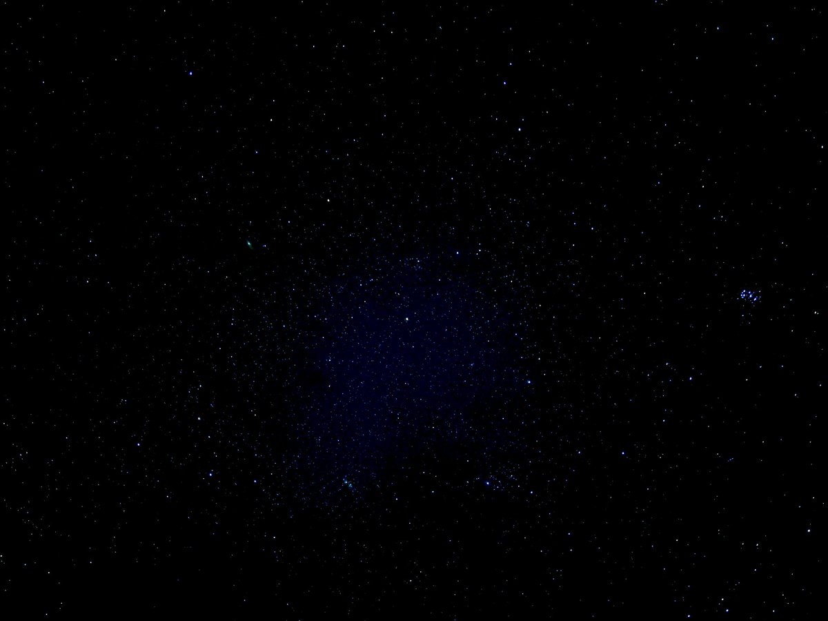 本ぼけ珊瑚　観音像　台込高さ約14.5㎝/138g 東Y7-0729⭐︎2Fトトカ KuMO / 雲海音楽商店@秋M3 G-10b on X: 