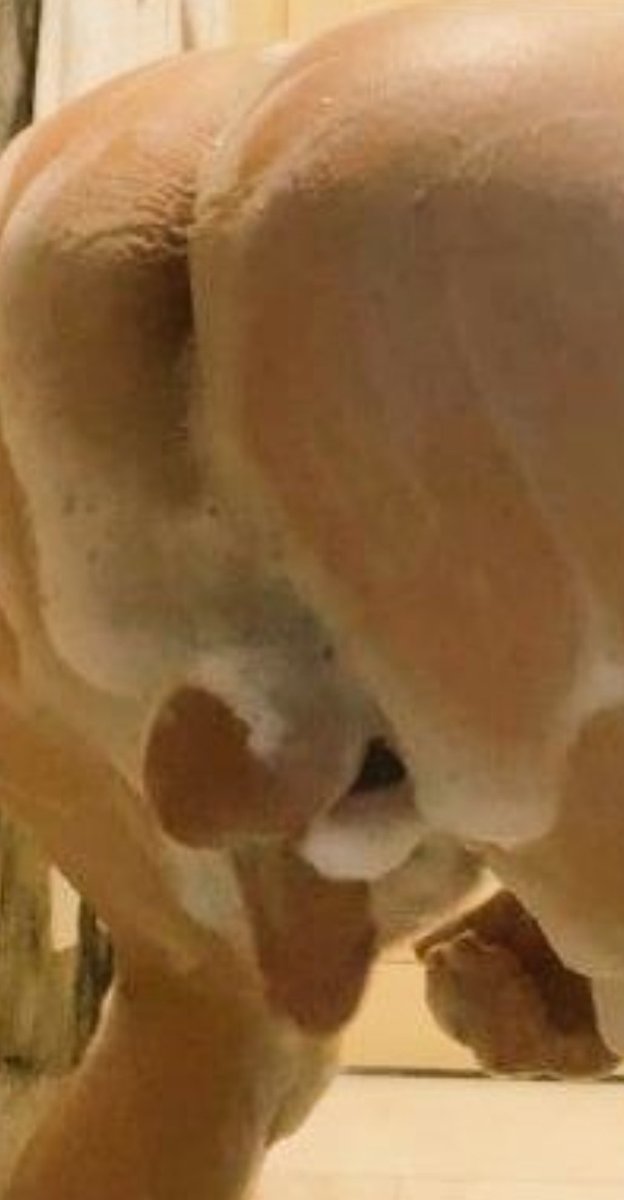 Dm açık ciddi beyleree
😋🤤🤑😘💋