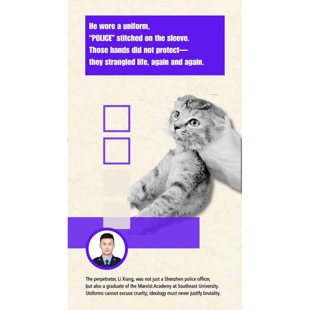Feline Guardians without borders Japan tweet media