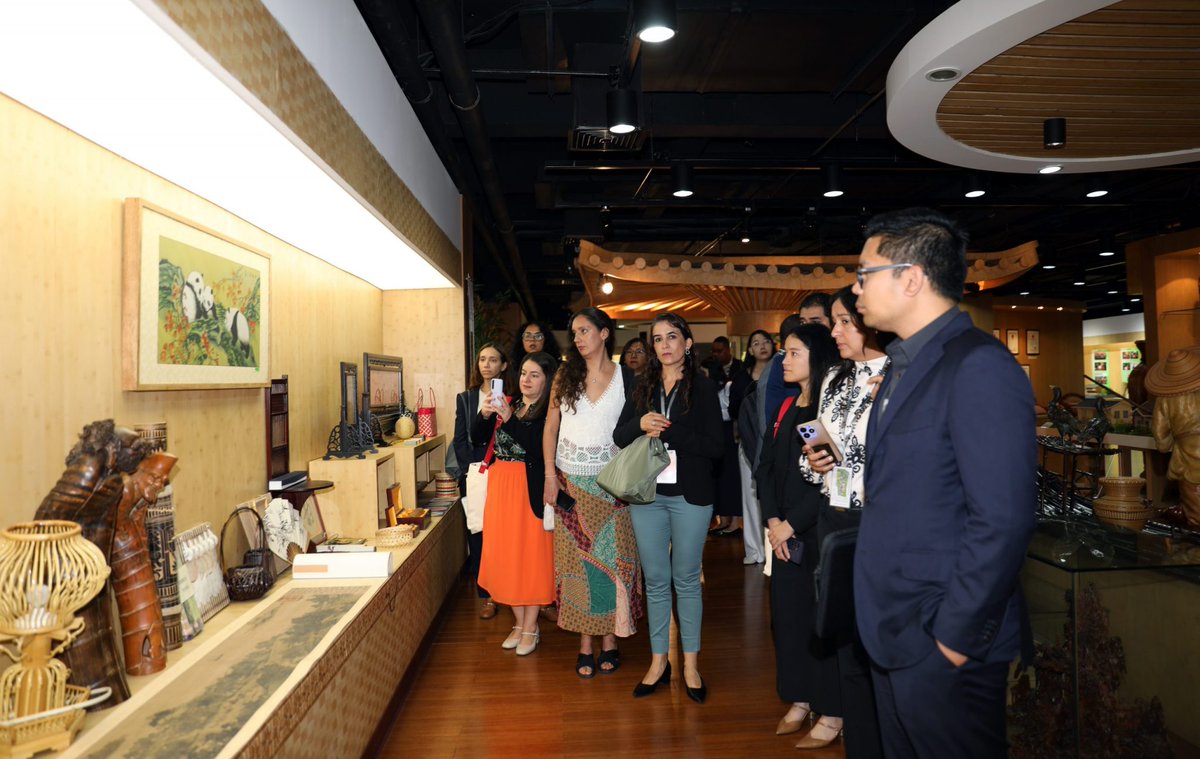 INBARofficial's tweet photo. INBAR hosted a high-level @WTO delegation in Beijing to advance the Bamboo as a Substitute for Plastic Initiative, exploring #bamboo solutions for plastic pollution and sustainable development. 🤝 🎋

Learn more:
https://t.co/peNBxnChEi https://t.co/9k4FChbmlh