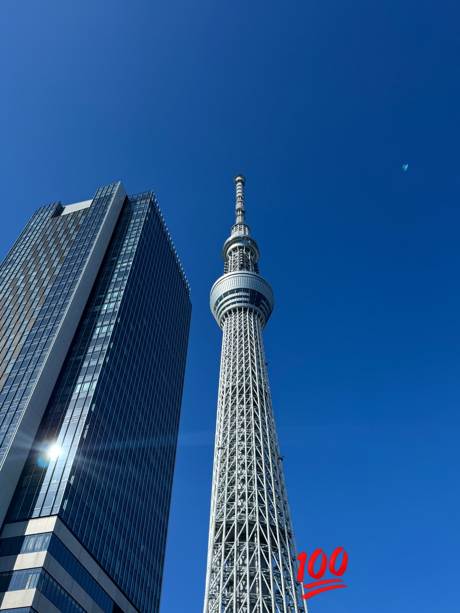 もたち（ver2） on X: 