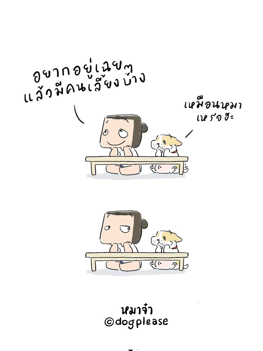 หมาจ๋า (@dogplease2013) on Twitter photo 