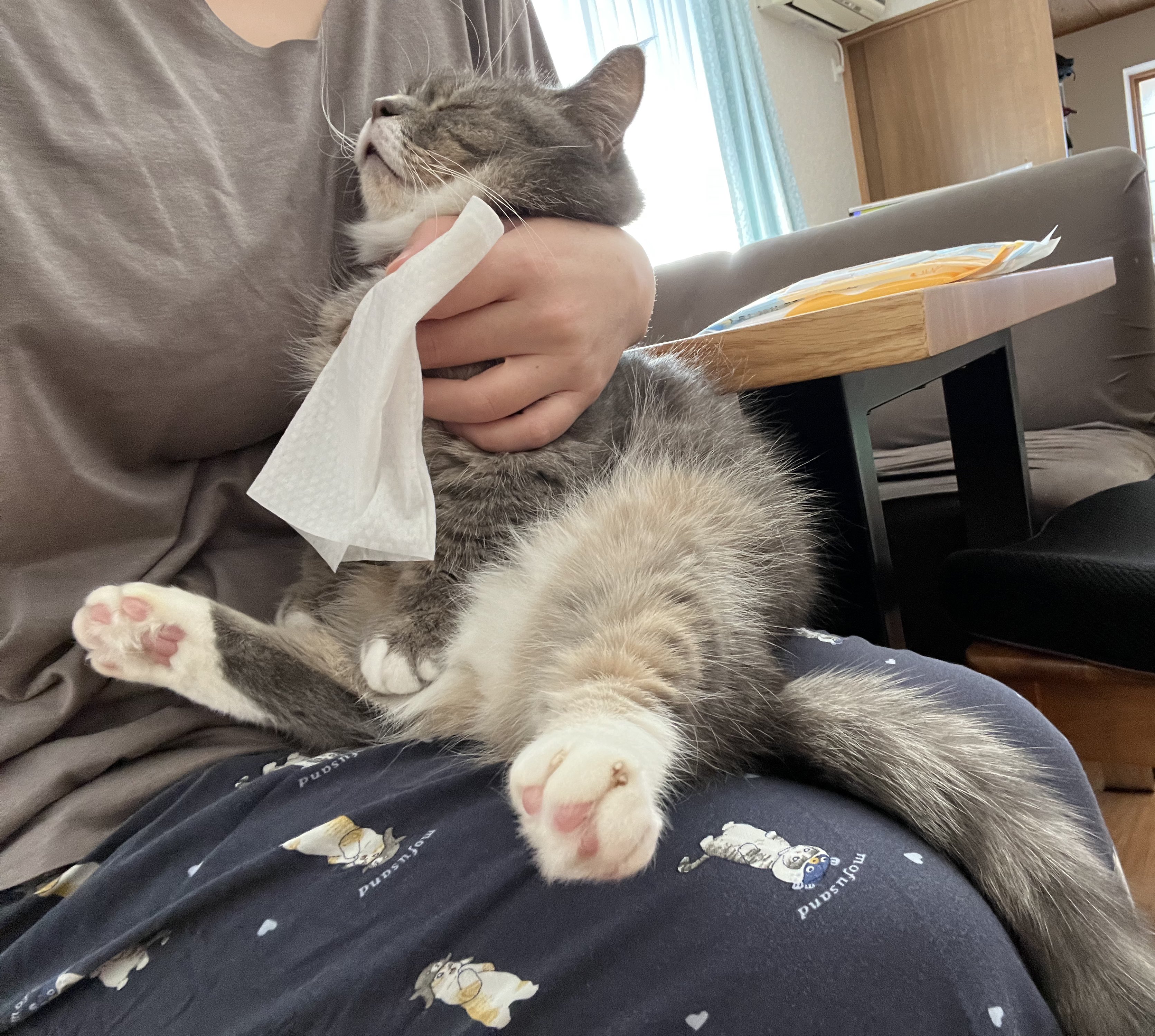 ラム猫様 ONEKOSAMA OINUSAMA 猫 入口パッド 高さ調節 トイレ 猫トイレ