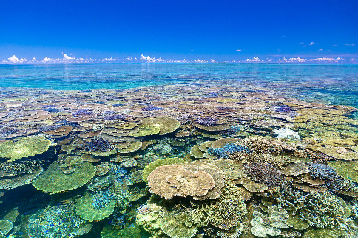 日本の海が世界でいちばん美しいことを
世界でいちばん知らないのが日本人