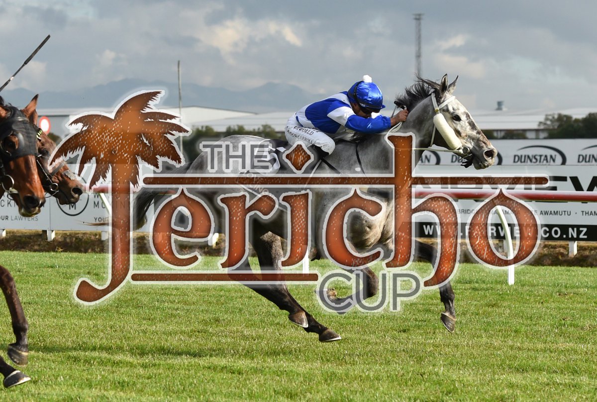 lenny_bluegrass's tweet image. Hula Beat NZ tried horse stayer specifically purchased to compete in &amp;amp; hopefully win this year's Jericho Cup, arrives from NZ today to be trained by Andrew Bobbin stable, contact @TowardReward to get involved towardreward.com.au/horse/hula-bea… Bluegrass selection @TheSharkTweet @gurujosh23