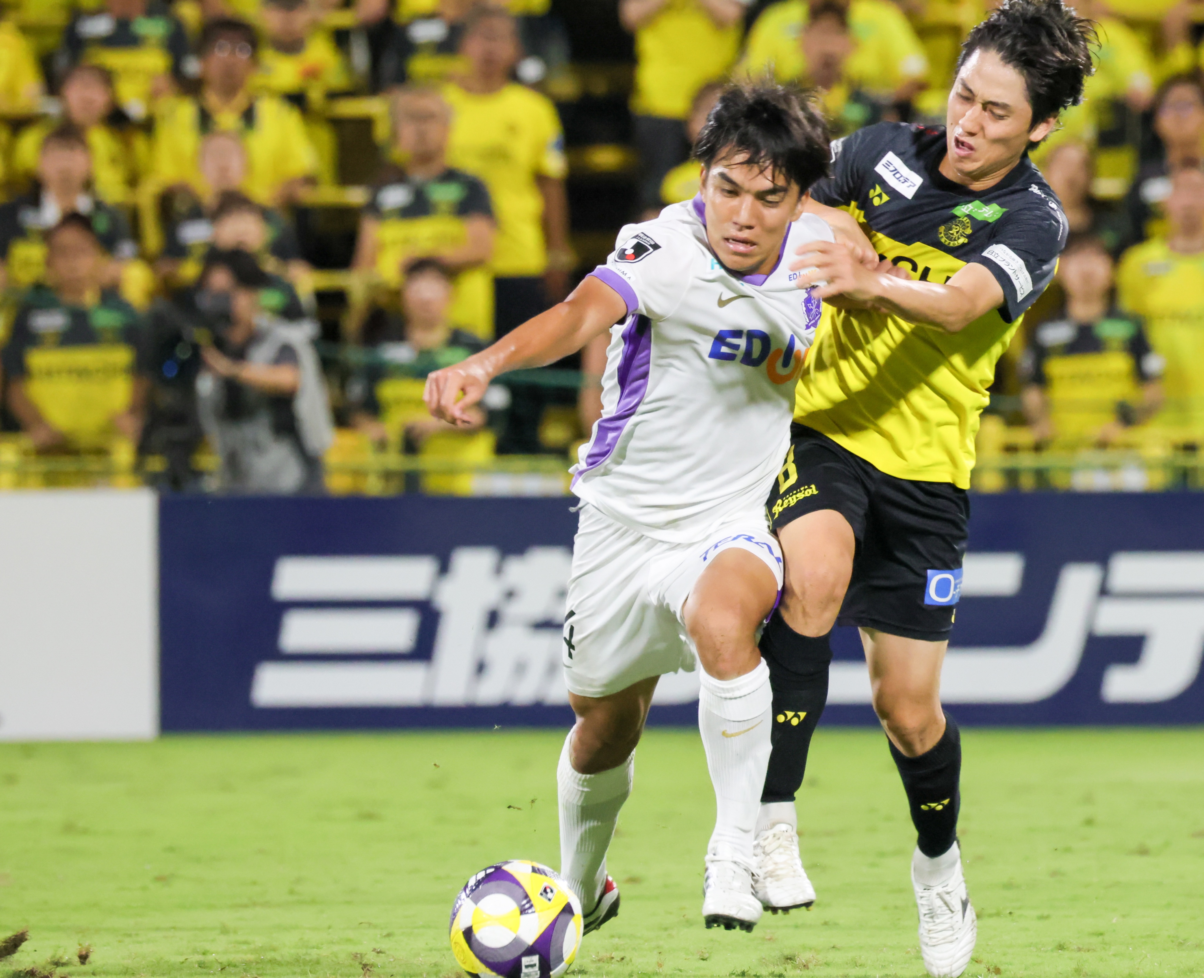 田中聡さん専用 マネージメントプランS代表紹介