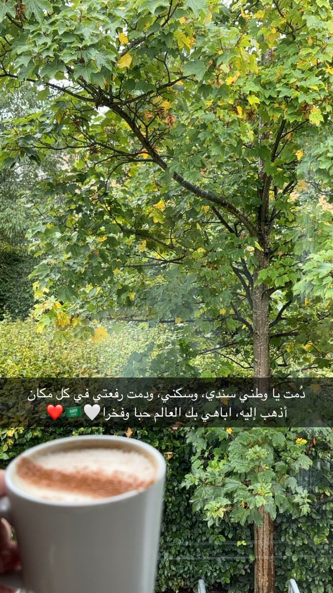 #اليوم_الوطني_السعودي_95 
كل عام ومملكتي في عز ورخاء 🇸🇦❤️