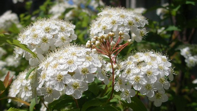 honky_tonk's tweet image. 「自分の人生に立ち向かう」
「生命力を燃やす」

それ自体が幸せ
&quot;事の展開は宇宙一任でOK&quot;と今は知ってる

僕は子機
見えない親機に絶えず導かれている

今日の課題とヒントに命を燃やす
明日の心を、今は知らず

固めてるは、内なる意識の持ち方
それだけ
#entrust #委ねる