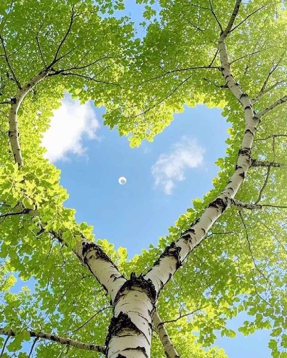 Bella naturaleza 🥰