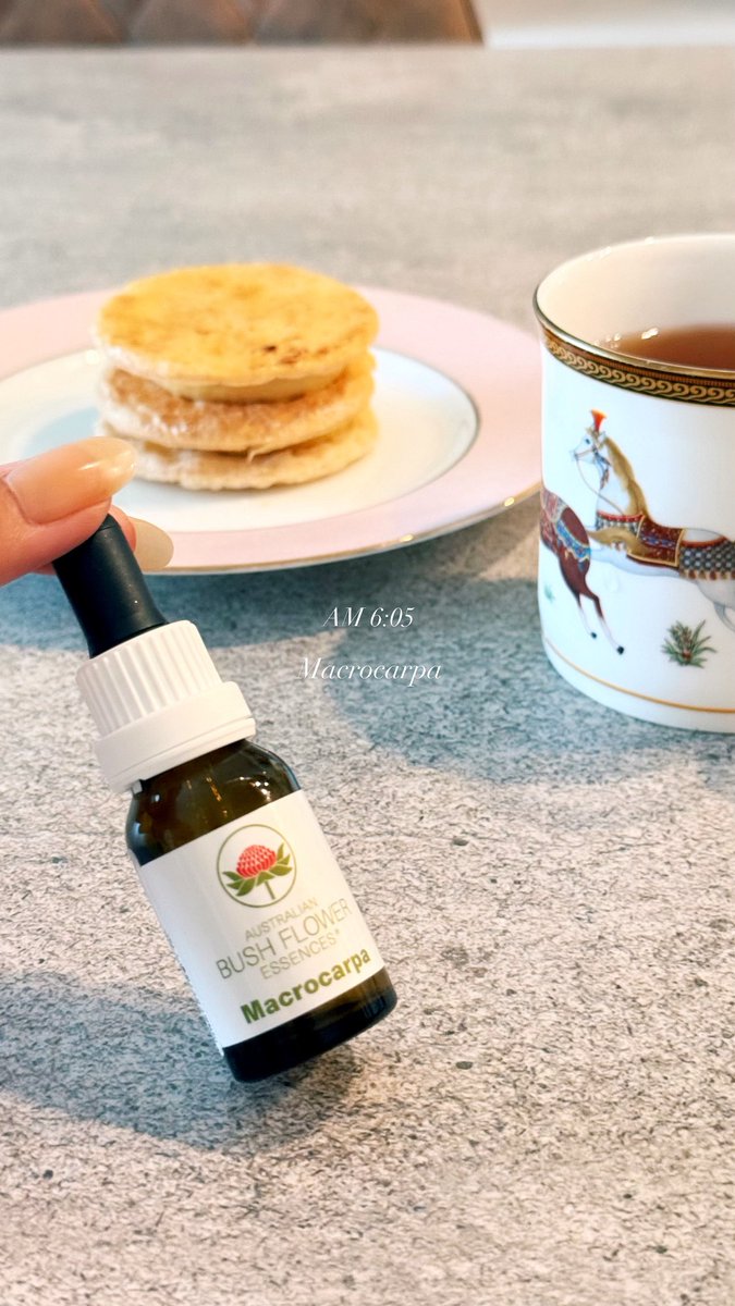 manaromantic's tweet photo. "Macrocarpa"/Bush Flower Essence
マクロカーパのMessageは情熱・忍耐力・内なる強さ……とてもパワフルな植物。
複数の事柄(仕事やコミュニティetc)へ意識を向けるとき、プロセスにおける変化の大きな時期に内側から情熱で乗り切ろうというタイミングにも。
#FlowerEssences
#InnerBeautyTreatment https://t.co/PKPrbITVOT