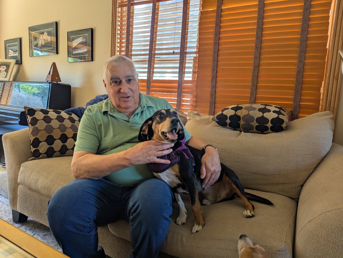 From escape artist to cuddle king! 🐾 We're celebrating the amazing journey of Maverick, a #beagle who came to us needing confidence &amp; lots of love. Maverick found his perfect match &amp; now he's living the dream—enjoying hikes &amp; car rides. This is why we do what we do #AdoptDontBuy