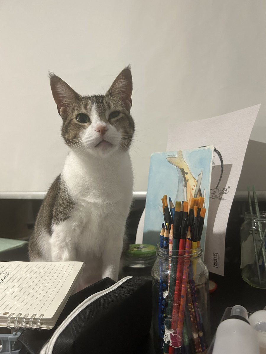 My ‘once in a while’ post