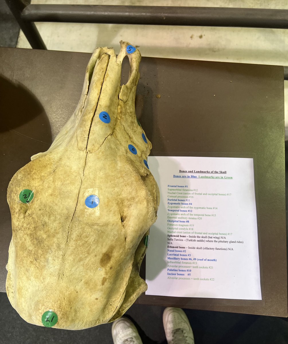 Matoad_'s tweet image. Ok no more fooling around, I have an exam soon!!! Time to study!