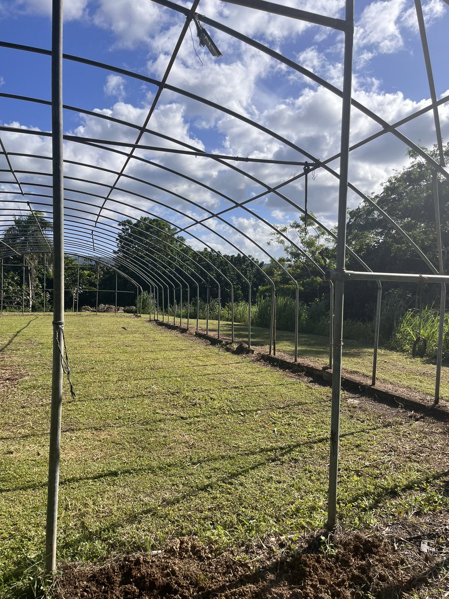 Don Maktub 🪵 tweet media