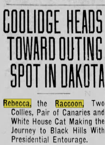 AmityShlaes's tweet image. My favorite is Rebecca Raccoon. She could have been a meal, but she became a pet, thanks to Grace Coolidge. Rebecca even traveled with the Coolidges.