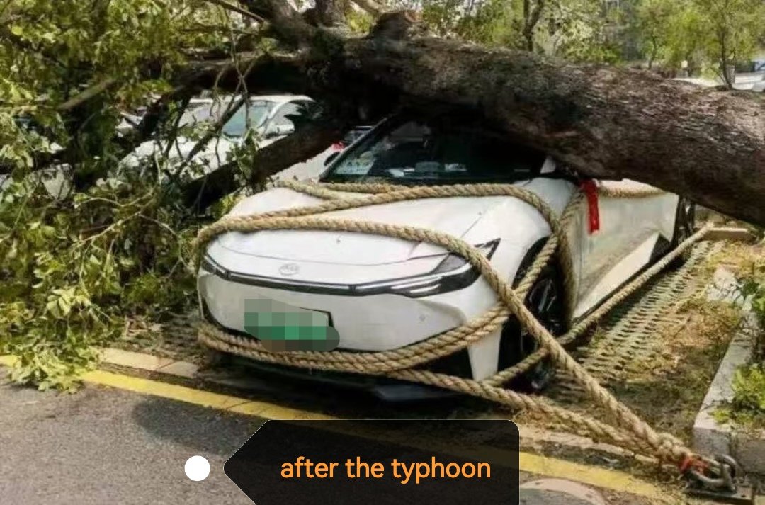 lljunsoftware's tweet image. before and after the typhoon😅