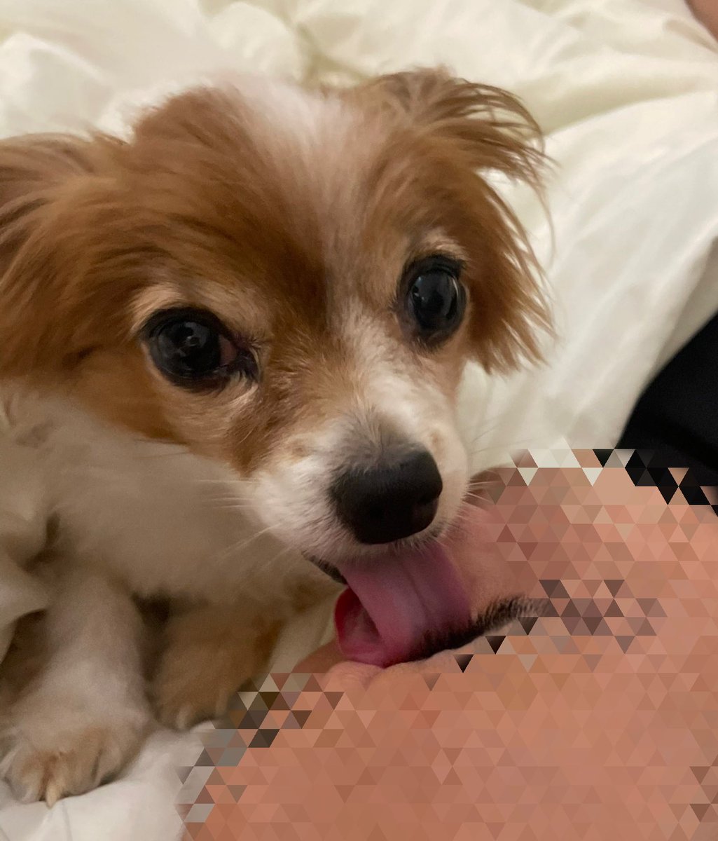 目をほじくるのはやめよう👁👅