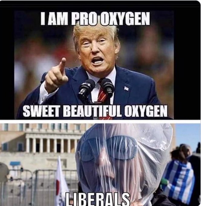 AnotherOne311's tweet image. Hoping Trump comes out in support of oxygen.