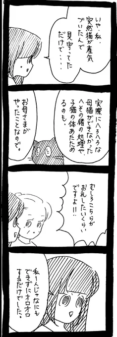 猫のお産に立ち会った話20 