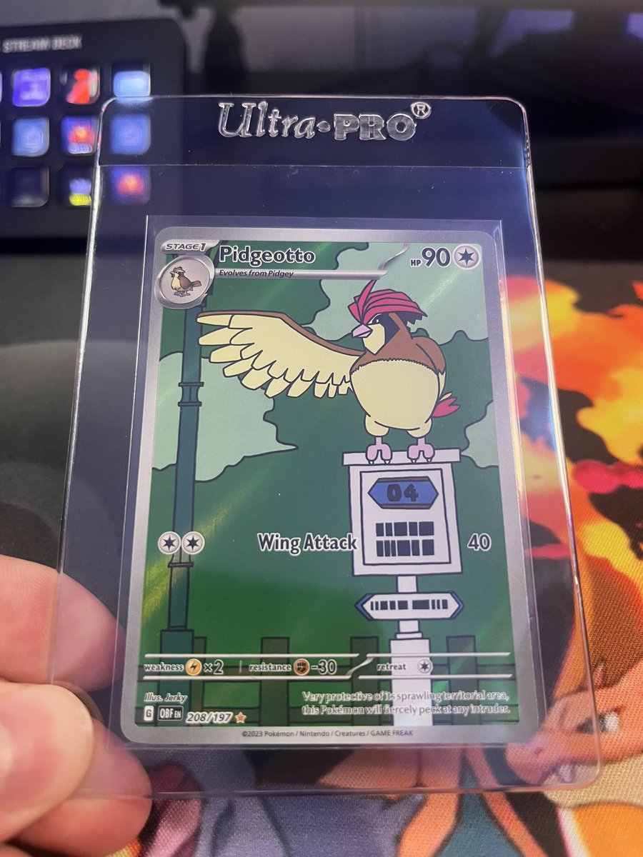 MCWithOneT's tweet image. Just added this beautiful Pidgeotto Illustration Rare from Obsidian Flames to my collection! 🪶🔥

#PokemonTCG #Pokemon #Pokémon #PokemonCards #TCG #ObsidianFlames #IllustrationRare #Pidgeotto #RarePull #CardCollectors #PokémonPulls #TradingCards #PokémonArt