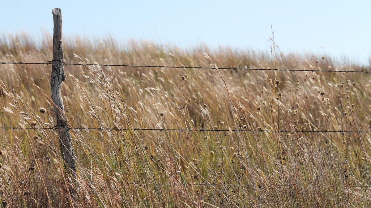 Tonight on Ranch Transition Tuesday... preemptive rights like the Right of First Offer and Right of First Refusal can give non-family successors a path to ownership without  forcing a sale. Learn more at cap.unl.edu/news/navigatin…