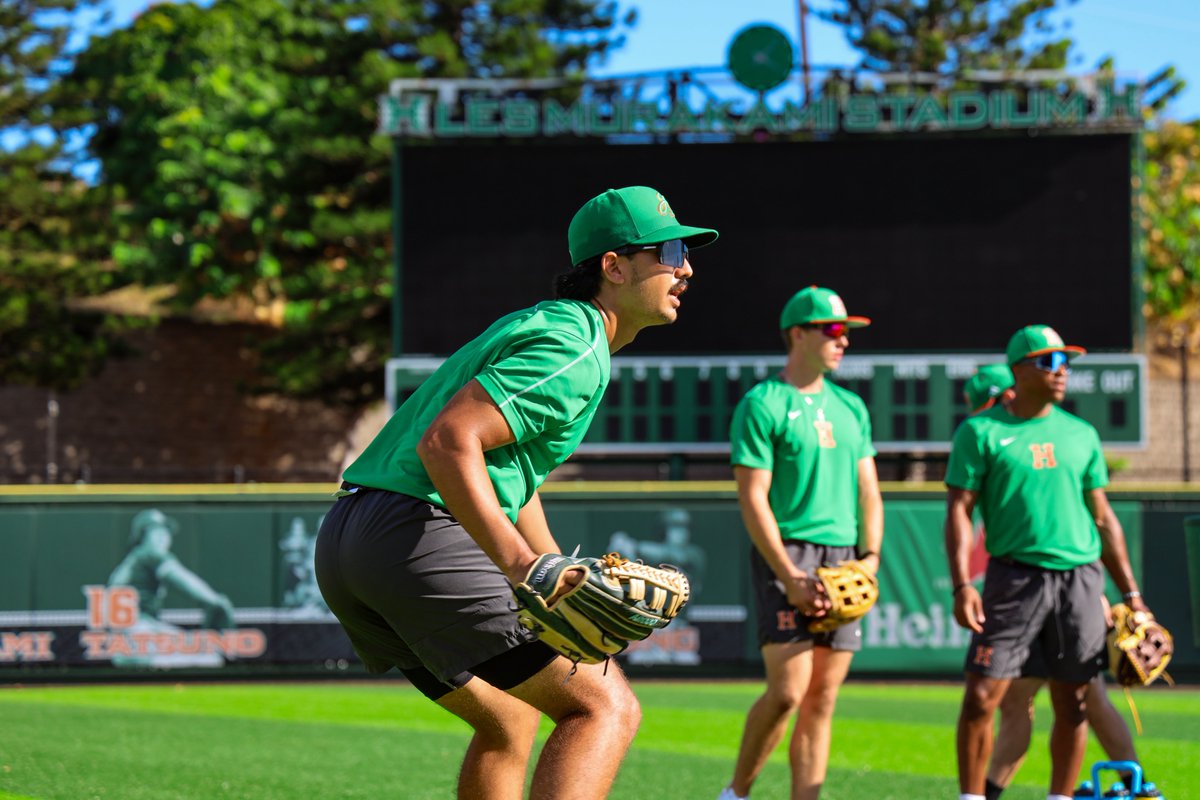 Hawaii Baseball tweet media