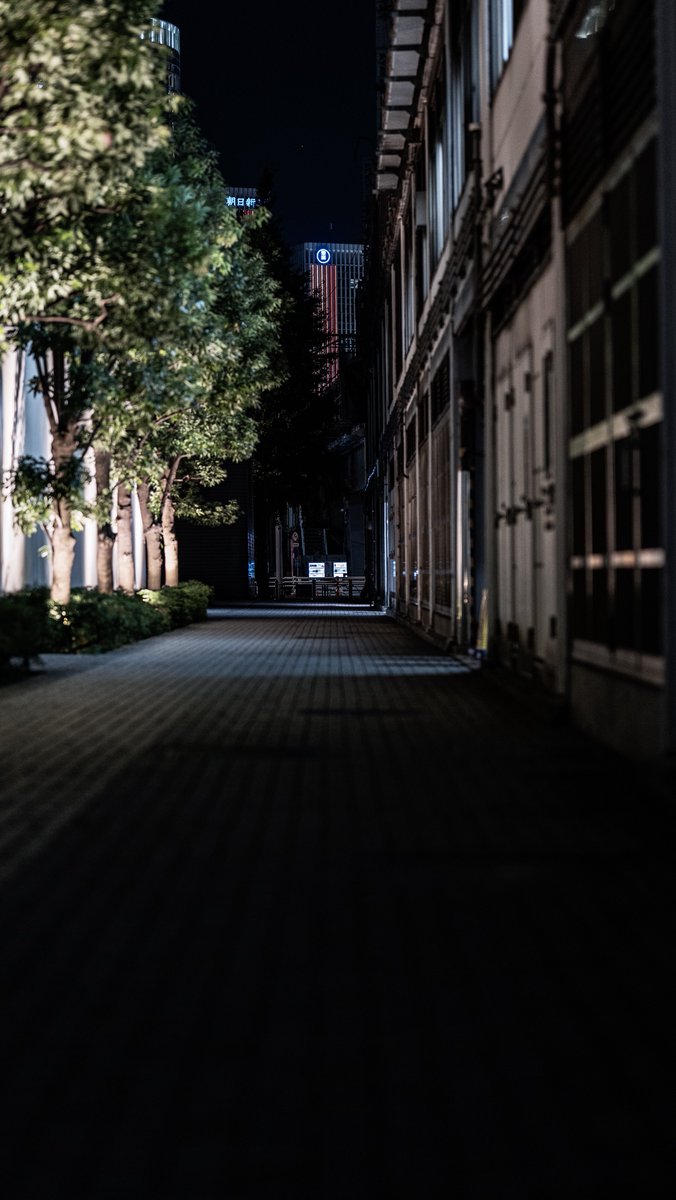 人通りがないから若い二人が抱き合ってた。邪魔してごめん