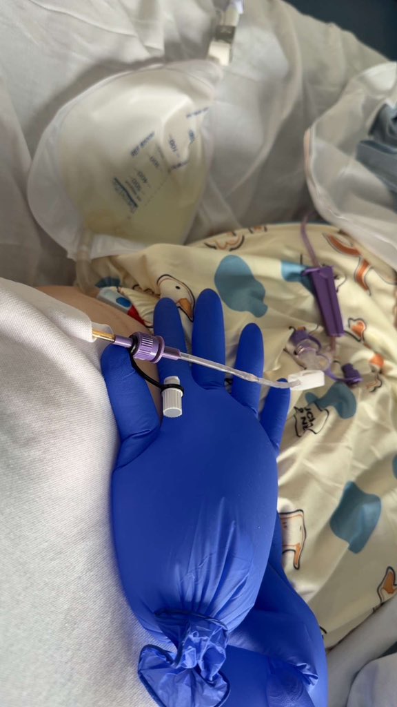 Abi Kate Hounslow tweet media