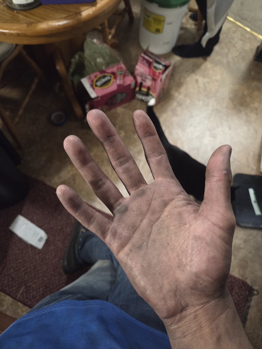 Raptorw0lf's tweet image. I GOT THOSE BLUE COLLAR WORKIN HANDS 😤😤😤😤