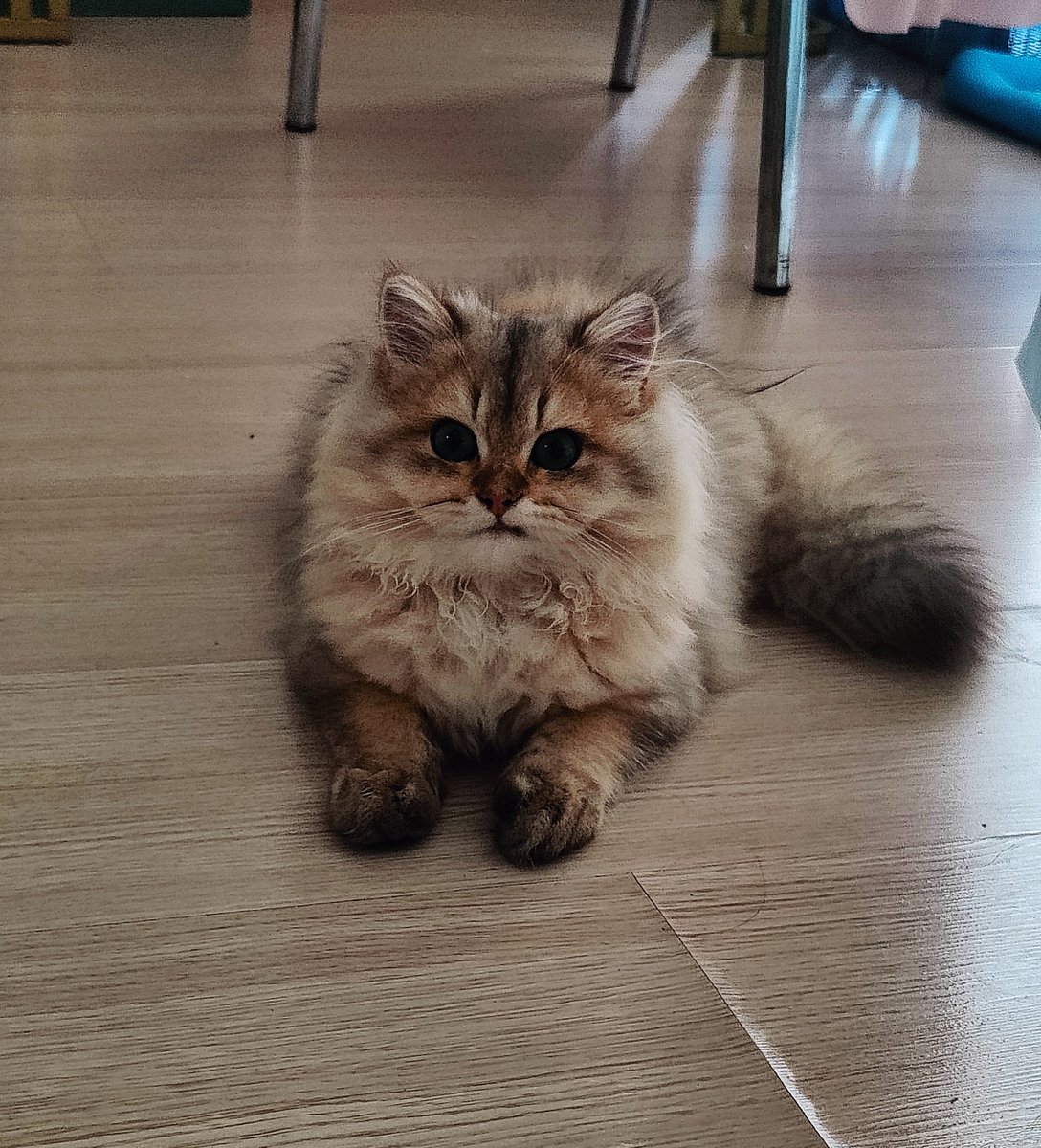 人们对社会的感知和期待的变化，深刻反映了时代变迁。