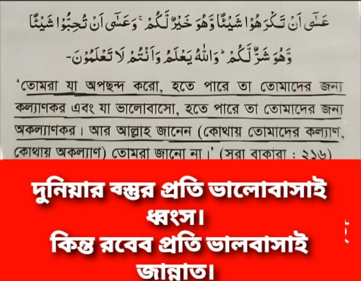 kodingtv's tweet image. 