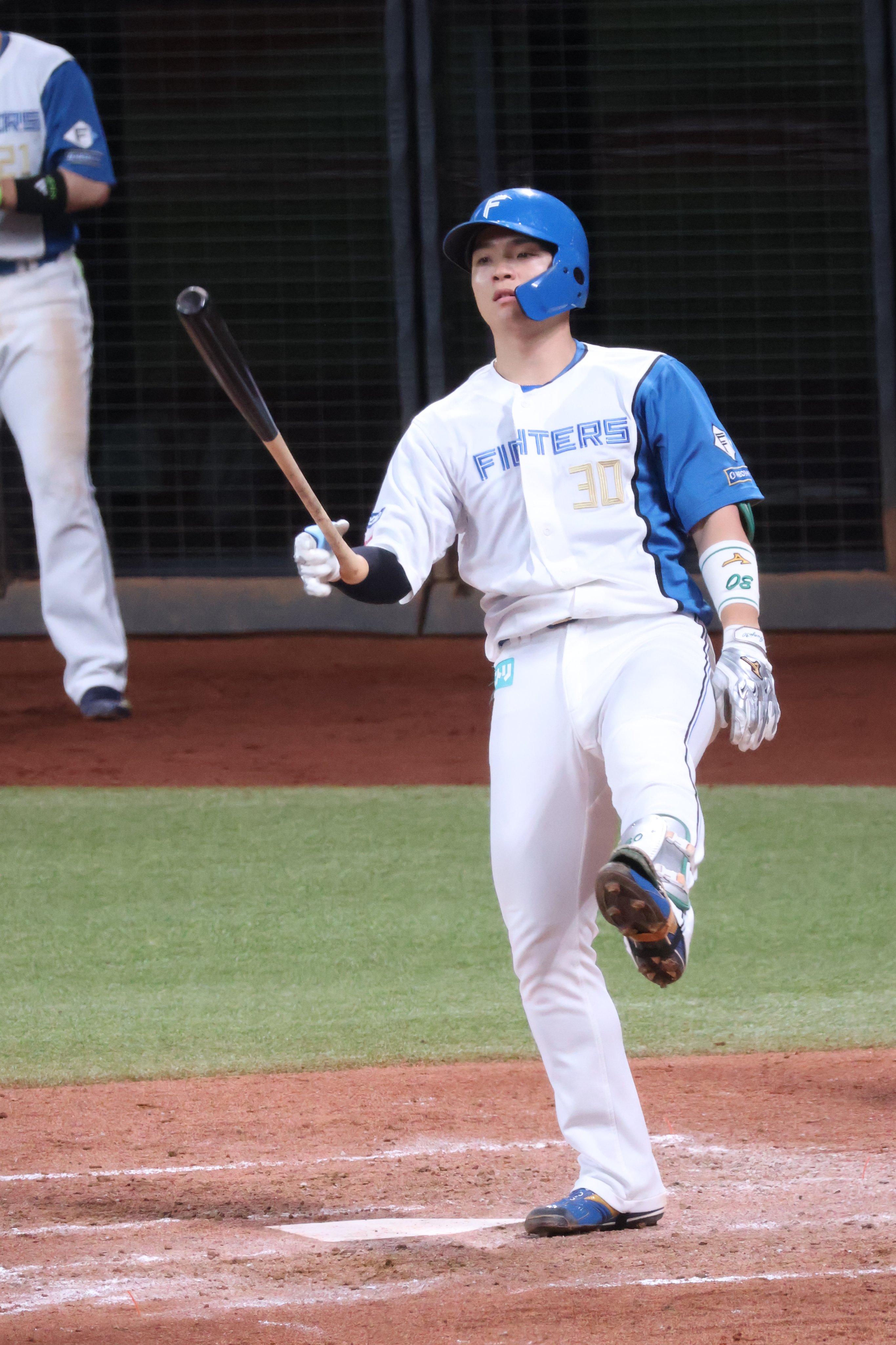 NPBバット 郡司裕也 jambalaya_24epnpb-324