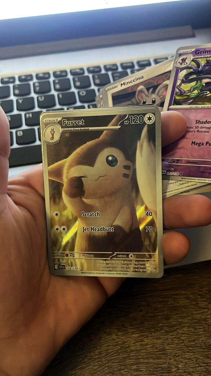 PoDoesPokemon's tweet image. OMG OMG OMG!!!! I GOT A FURRET! 🎉😤 #JourneyTogether pack #5 #CodeCard #Pokemon #PokemonTCG