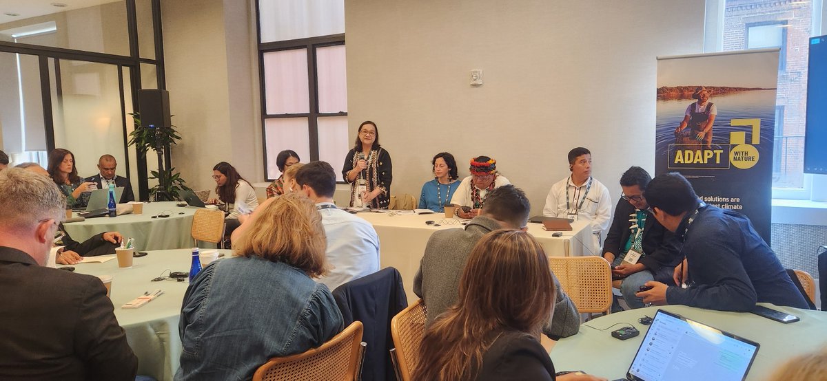 #ClimateWeekNYC | Grace Balawag of Tebtebba shares the Global Study on #IndigenousPeoples’ contributions to climate solutions during the ongoing #ClimateWeekNYC.

The study is being led by Indigenous Livelihoods Enhancement Partners (ILEPA), in partnership with Elatia Indigenous,