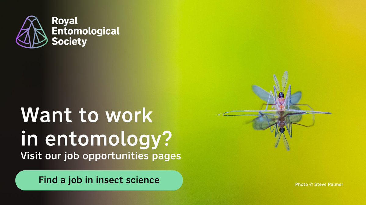 Fascinated by insects? Discover exciting opportunities in #entomology 🦋

Visit our site for the latest job openings and secure your dream role today 🔽

royensoc.co.uk/membership-and… 

If you have an #insect-related job #opportunity, please send us the details info@royensoc.co.uk