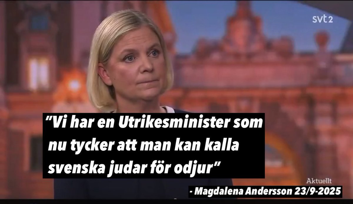 Denna häpnadsväckande anklagelse av Magdalena Andersson måste ändå vara ett politiskt lågvattenmärke av historiska proportioner.
