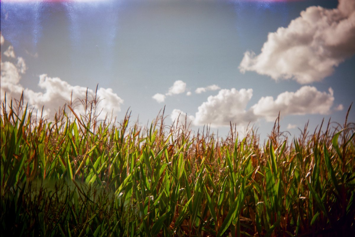 Not bad for a "one lense in zero groups" design i guess