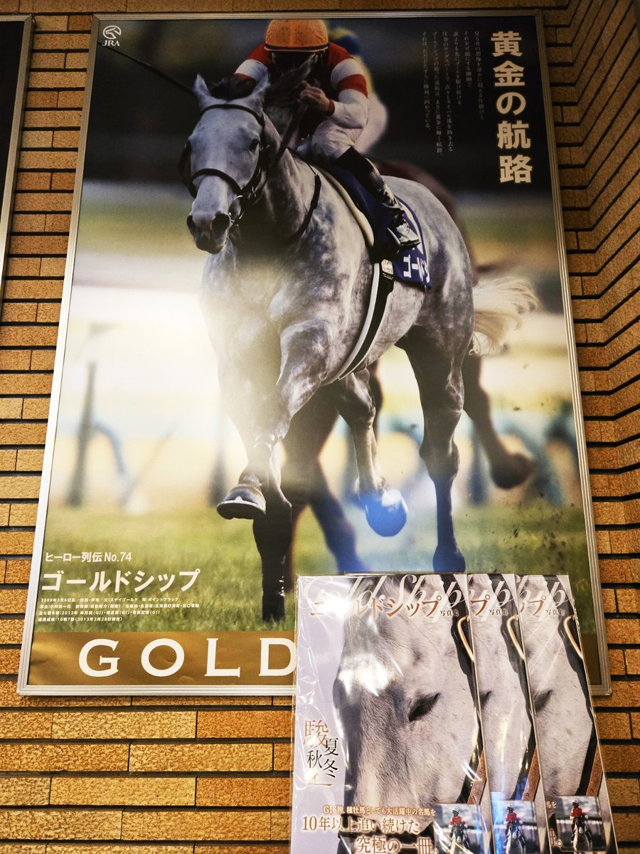 📸カメラマン山中博喜さんが10年以上撮り続けた 『ゴールドシップ写真