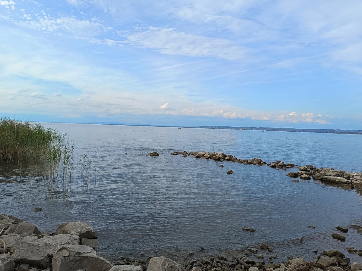 Maria 💮 (@marygoeswest) on Twitter photo Guten Morgen vom Bodensee ☕🩵
#Morgengruß Guten Morgen vom Bodensee ☕🩵
#Morgengruß