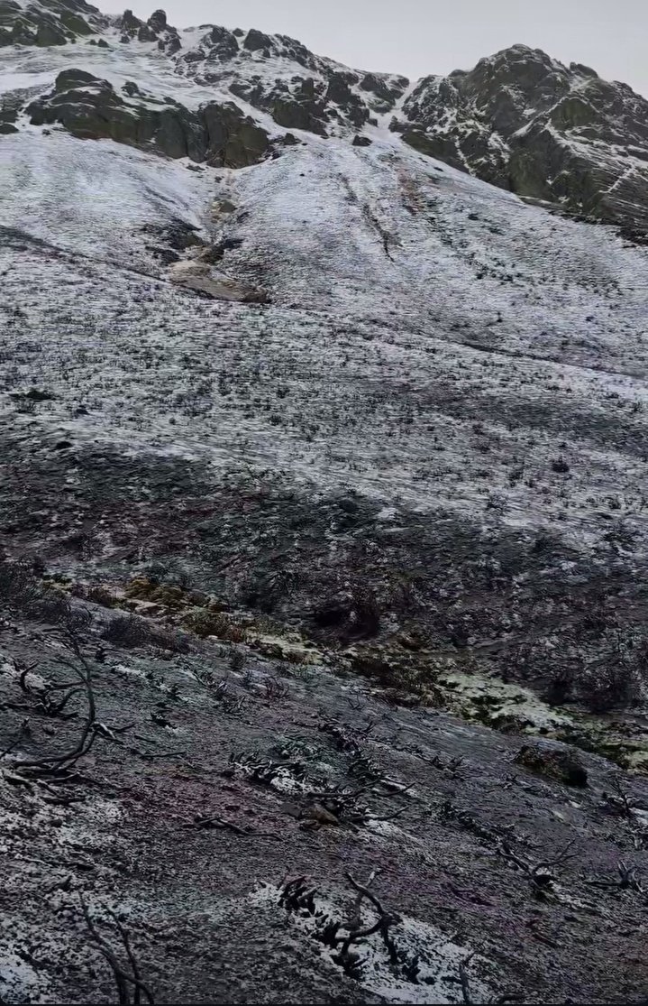 La nieve quiere tapar las cicatrices de los incendios de este verano. 

#DescubreValdeon #PicosDeEuoropa #Leonesp