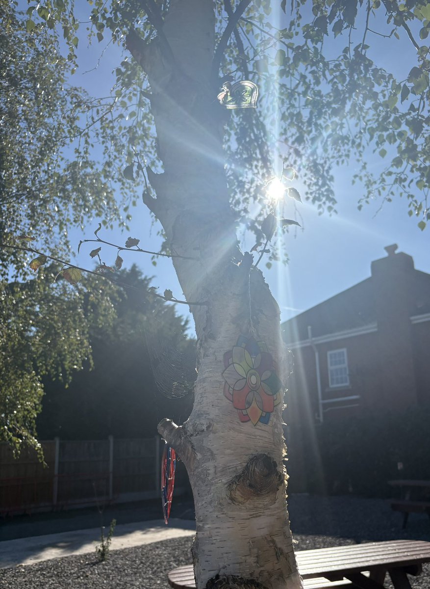 I love this tree.

The children gather in the morning to chat before coming into school. The colourful flowers they have created, hang from the branches. 

A SEN provision built in mainstream, which all schools should have. 

A very wonderful space.